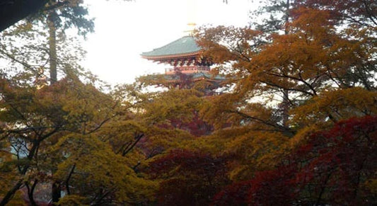 Autumn colors in Japan for budget travelers (Kouyou)
