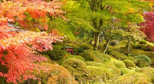 World Heritage Sites in Japan