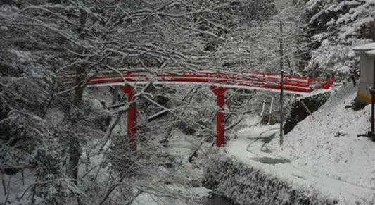 Snowy Buddhist mountain town – Koyasan Day 1