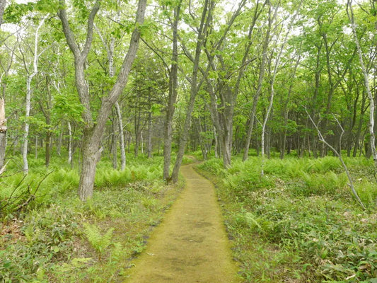 Exploring Kawayu Onsen – Hokkaido’s best hot spring town?