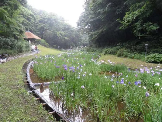 Secret garden in Tokyo – Meiji Jingu’s Inner Garden