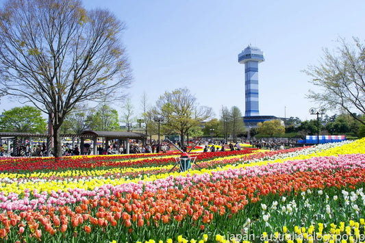 Three of the Best Flower Parks in Japan