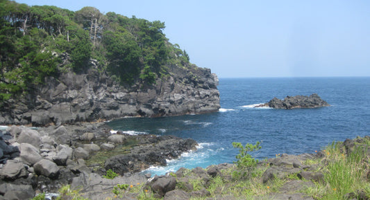 Izu Peninsula