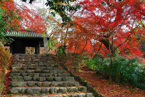 Top 10 Autumn color spots in Kyushu