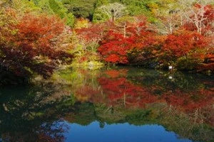 Top 5 Autumn color spots in Tohoku