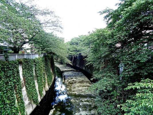 A Walk along the Kanda River – Sekiguchi Bashoan