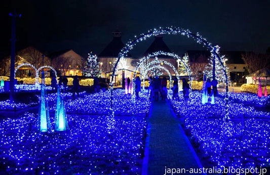 Tokai Winter Illuminations