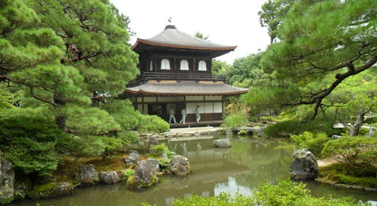 Free Tour Guides in Kyoto