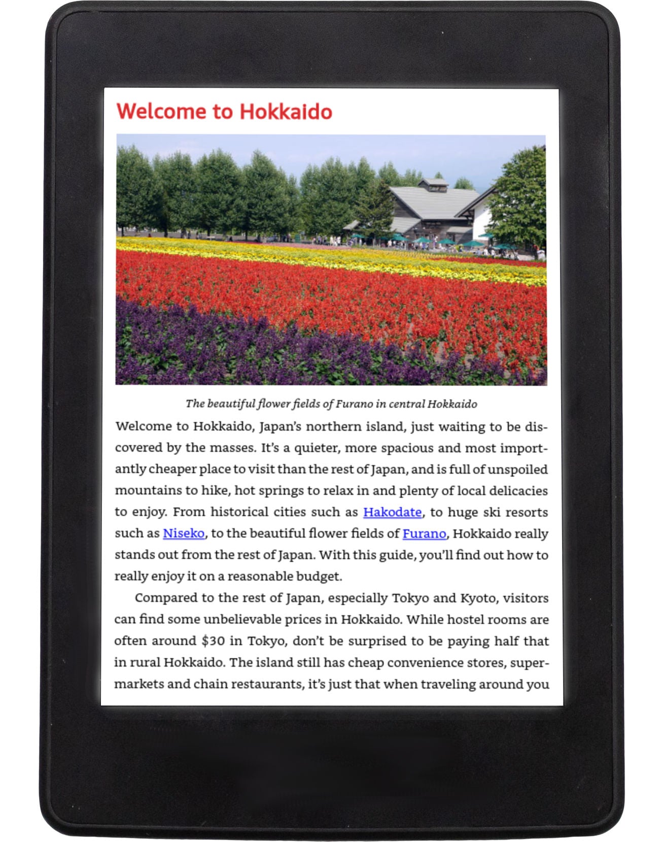 Super Cheap Hokkaido guidebook ebook introduction page preview